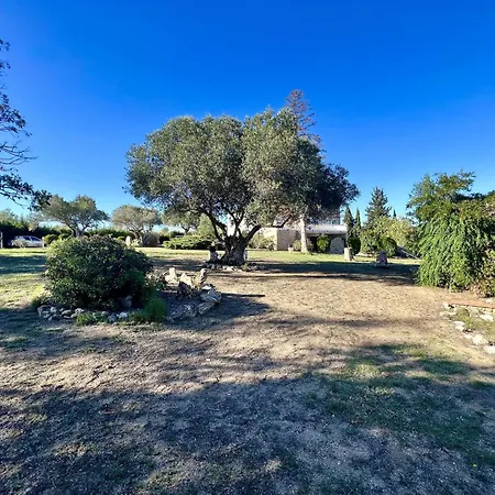 Palau Del Vent Tarabaus