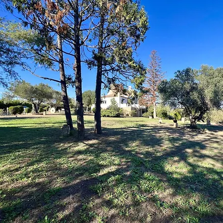 Holiday home Palau Del Vent *